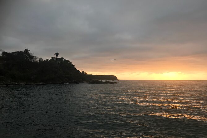 Puerto Vallarta's Yelapa Boat & Walking Tour - Yelapa’s car-free feel: why this day trip works