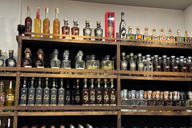 San Jose del Cabo Tequila, Mezcal and Mixology Class - Key Highlights You’ll Care About