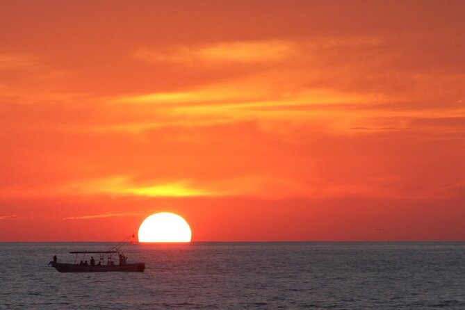 Sea View Rooftop Mezcal Tasting - Premium pours meet marine-life surprises