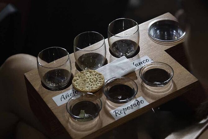 Show Mayahuel + Tequila Tasting - Mayahuel at Teatro Vallarta: Myth, Movement, and Real Production Value