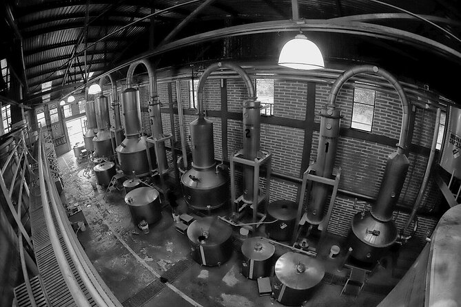 Sip & Savor Tequila Experience Distillery w/ Lunch fr Guadalajara - Why the small group size (10 max) really matters