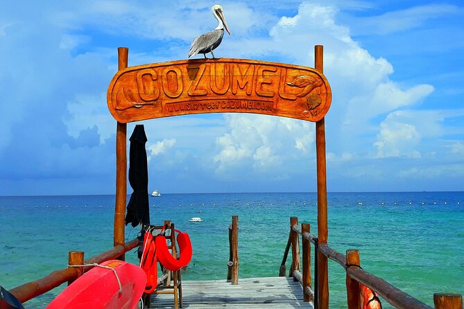 SkyReef Cozumel Snorkel & Tequila Tasting - Who should book this, and who should skip it