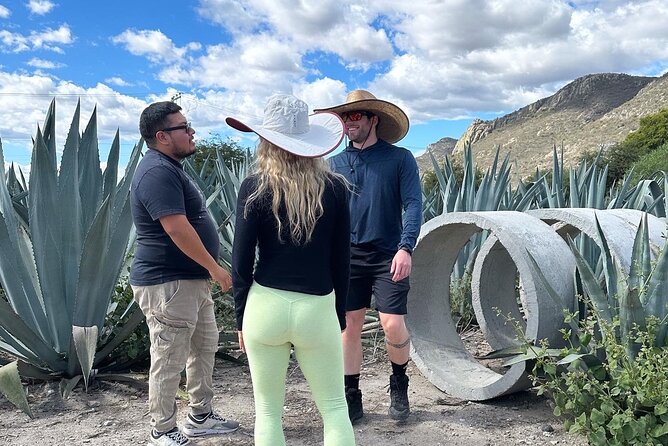 Small Group Boerve del Agua and Mezcal Tour from Oaxaca Centro - What you’re really paying for: value beyond the $71.69 price