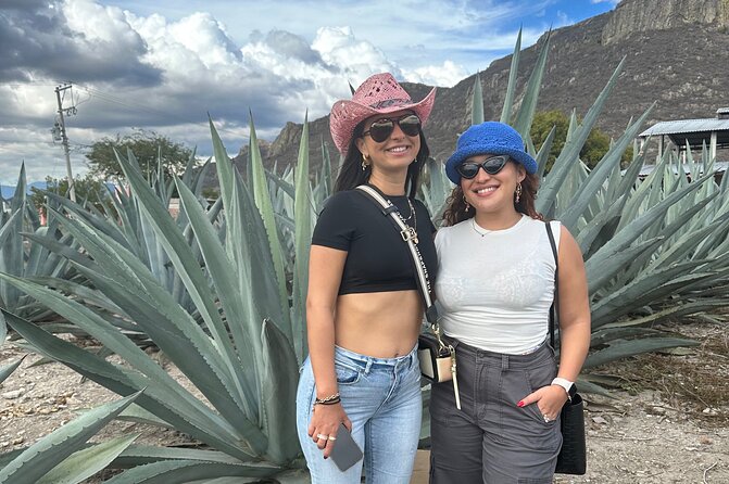 Small Group Boerve del Agua and Mezcal Tour from Oaxaca Centro - Best-fit travelers (and who should adjust expectations)