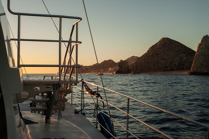 Sunset Cruise Tequila Tasting - Cabo Breezes, Whale-Watching Luck, and Keeping Comfortable