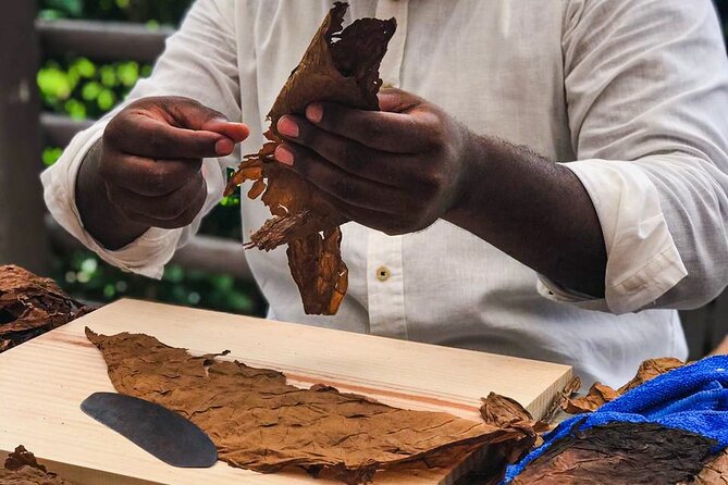 Taste of Mexico: Rolling Cigar & Tequila Experience with transfer - Food and Drinks: Buffet Lunch and the 18+ Alcohol Rule