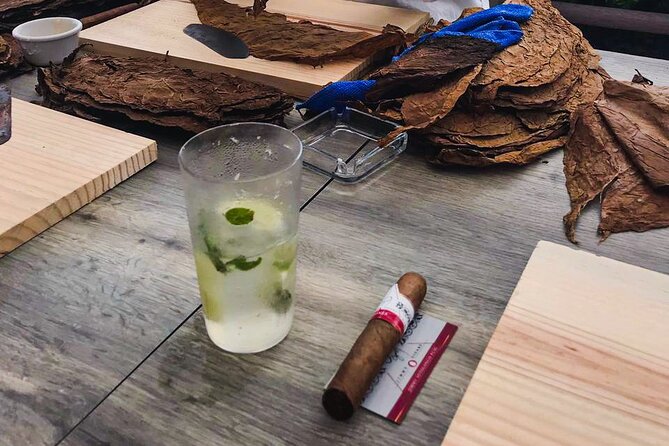 Taste of Mexico: Rolling Cigar & Tequila Experience with transfer - Who Should Book This Cozumel Cigar-and-Beach Day?