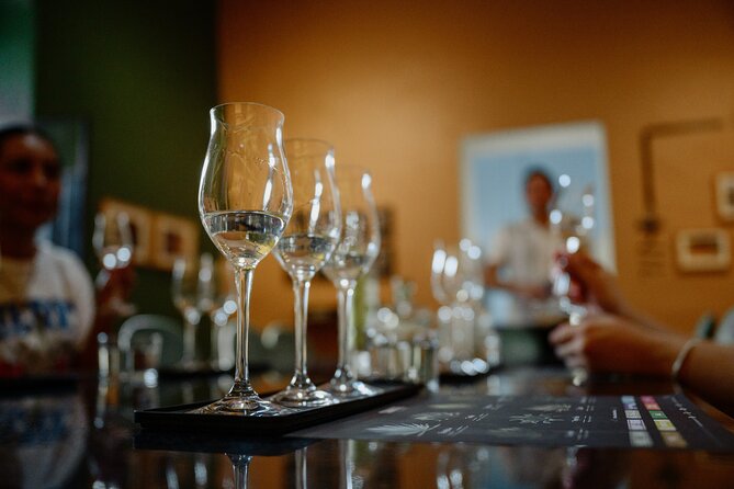 Tasting of Mezcal with the best selling brand in Oaxaca - Rare and wild agaves: why that choice makes the session worth your time
