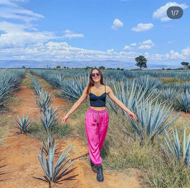 Tequila and Cantaritos Tour from Guadalajara - Key things to know before you book