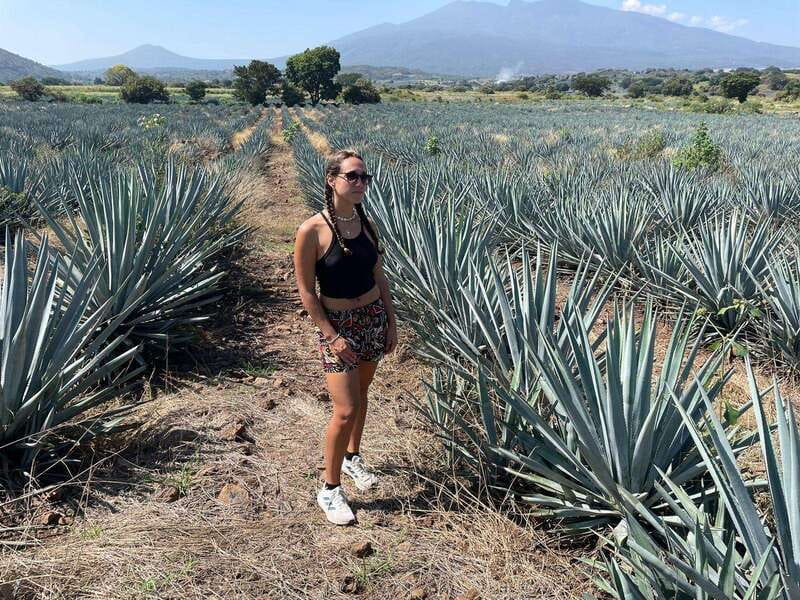Tequila and Cantaritos Tour from Guadalajara - Why this Tequila tour makes sense for one full day