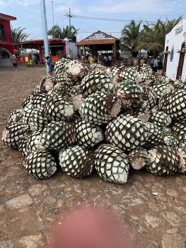 Tequila and Cantaritos Tour from Guadalajara - Tequila town: quick photos, real streets, and the giant swing