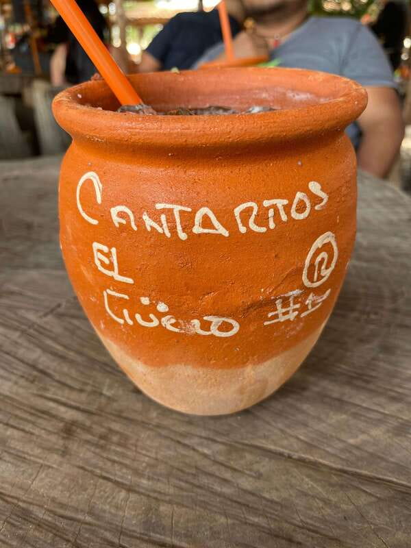 Tequila and Cantaritos Tour from Guadalajara - Price and value: what you’re getting for $102