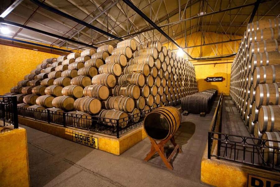 Tequila and Cantaritos Tour from Guadalajara - What to bring (and what can trip you up)