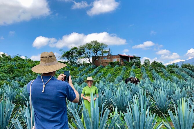 Tequila and Guachimontones Private Full Day Tour - Why This Full-Day Route Works From Guadalajara