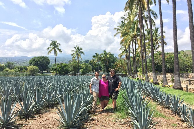Tequila and Guachimontones Private Full Day Tour - Stop 3: Tequila Town Time, Lunch on Your Own, and Main Square Vibes