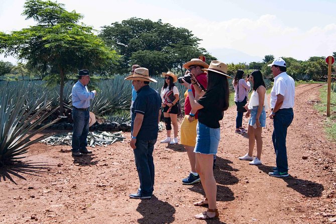 Tequila distillery experience, Jose Cuervo & Tequila Magic Town - Optional Jose Cuervo Forum: what you gain, what changes, and how to plan around it