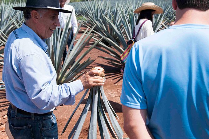 Tequila distillery experience, Jose Cuervo & Tequila Magic Town - Tasting smart: how to enjoy the tequila without turning it into a blur