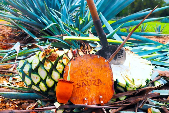 Tequila Express - Key Highlights You Should Actually Care About