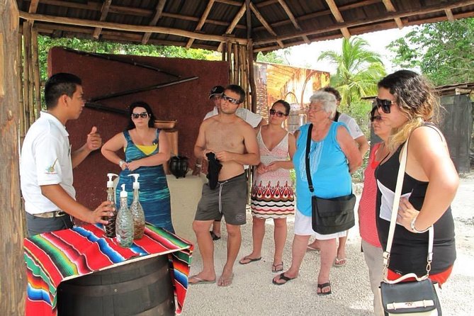 Tequila History and Tasting Experience and Unlimited Beach Break - Key highlights to know before you go
