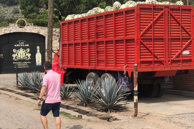 Tequila Jalisco Full Day Tour from Puerto Vallarta - Getting the Timing Right: Comfort Tips for a 12-Hour Day