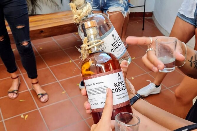 Tequila, Mezcal and Raicilla Tasting - Price and value in Puerto Vallarta: is $20 actually fair?