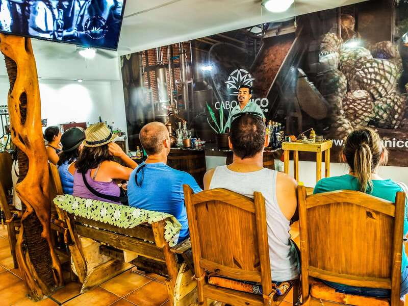 Tequila & Mezcal Tasting Experience - A 90-Minute Cabo Lesson on Tequila and Mezcal