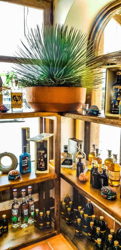 Tequila & Mezcal Tasting Experience - Your Private Guide Turns Shots Into a Tasting Skill