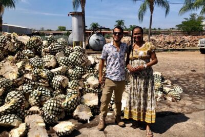 Tequila: Private Half-Day Tour - Agave views and indigenous myths at the lookout point near Tequila Volcano