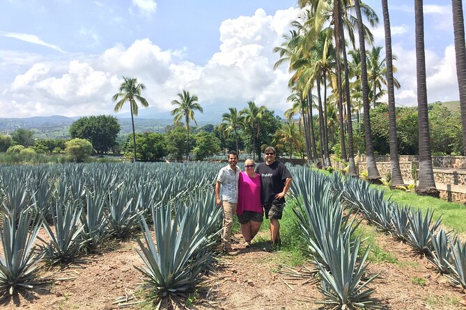 Tequila: Private Half-Day Tour - Private transportation and pickup in Guadalajara: the convenience you actually feel