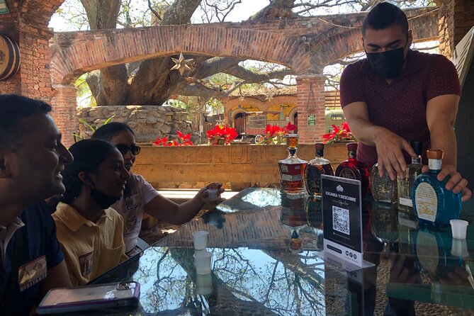 Tequila: Private Half-Day Tour - Who this tour suits best (and who may want a different option)
