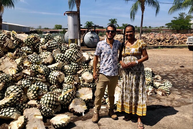 Tequila: Private Half-Day Tour - Agave views and indigenous myths at the lookout point near Tequila Volcano