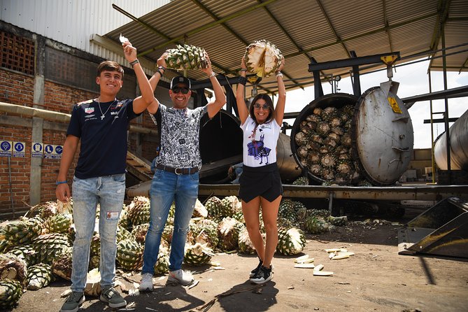 Tequila Route Experience from Guadalajara - El Arenal: Quiet Streets, Big Production Energy Nearby