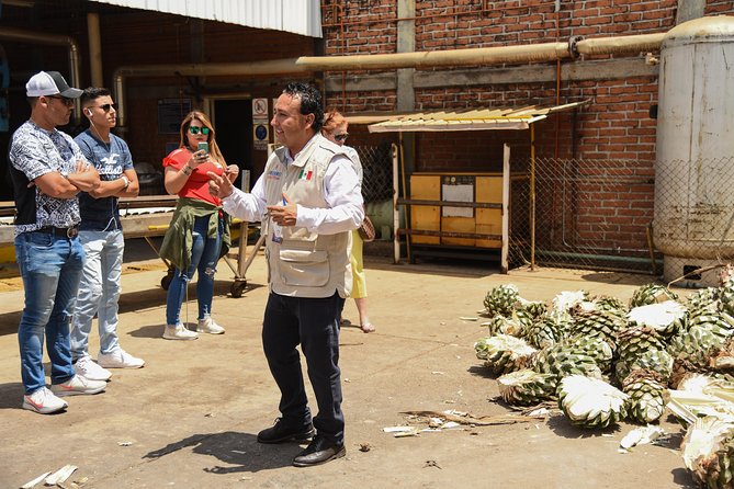 Tequila Route Experience from Guadalajara - Tequila Magical Town: Plaza Time, Church Square, and Tequila Pride