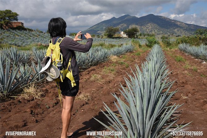 Tequila Route Experience from Guadalajara - The Tequila Mural: A Quick Cultural Wrap-Up
