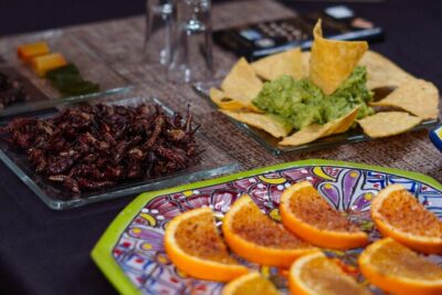 Tequila Tasting & Cocktail Workshop at Tequila Lighthouse - Cabo - What you learn during the tequila tasting (and how to use it later)