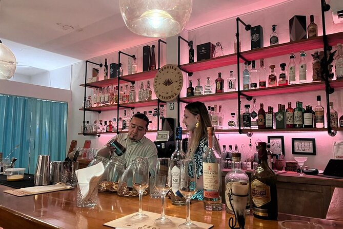 Tequila Tasting Experience - Who this tour is best for (and who might skip it)