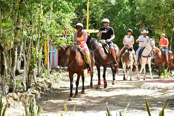 Tequila Tasting, Horseback Riding,ATV, Ziplines Cenote and Lunch - Cenote Time: Cold Water, Jumping Platforms, and Built-In Fun
