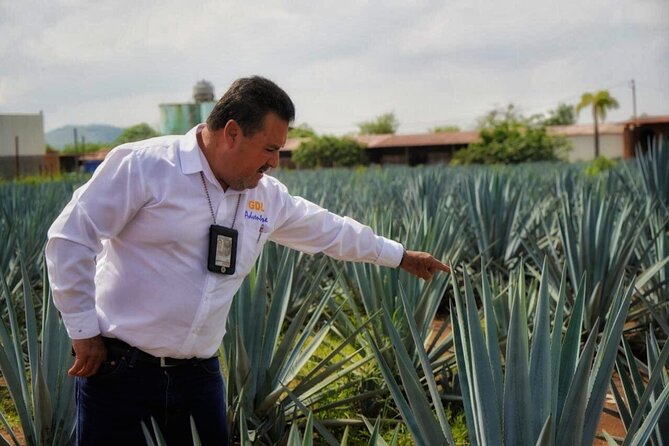 Tequila Tour - Key highlights worth showing up for