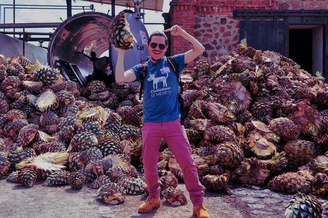 Tequila Tour - Agave fields and ancient industrial facilities: Tequila Selecto de Amatitán