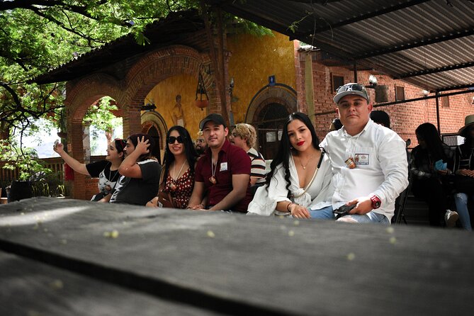 Tequila tour with tasting. - Tequila’s main plaza: mariachi time and a slower ending