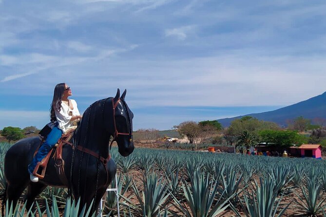 Tequila tour with tasting. - Price and value: the $80 tag, broken down like a friend would