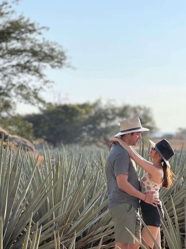 Tequila: Town and Distillery Guided Tour with Tastings - Who this tour is best for (and who should look elsewhere)