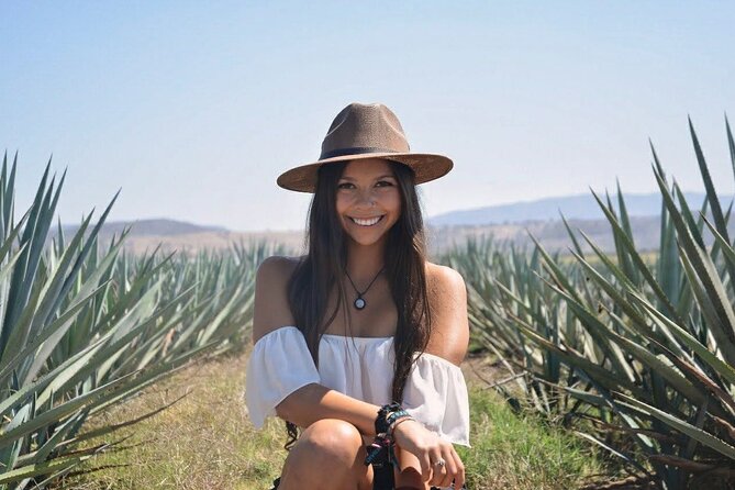 The Agave Experience Tequila Tour in Jalisco - Cava de Oro: the Tequila Master lesson you’ll actually use