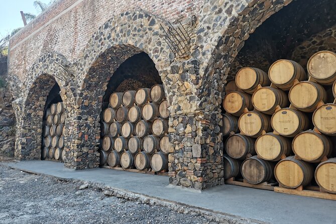 The Fire TOUR - Pyramids, Volcanoes, Agaves & Tequila - Price and value: is $89 a good deal for this kind of day?