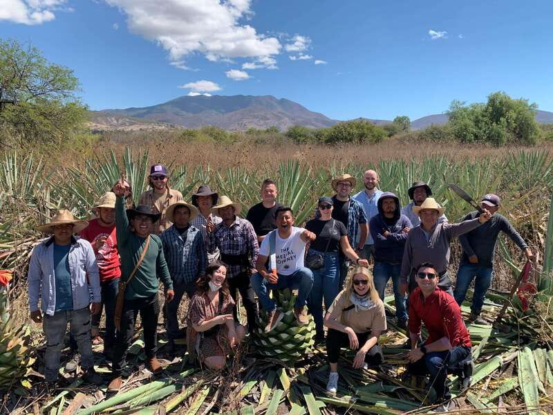 The Mezcal Journey - How to prepare so the day stays fun (not messy)