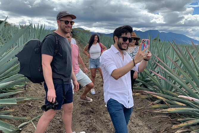 The Mezcal Journey - Inside the artisanal distillery: private areas and real production flow