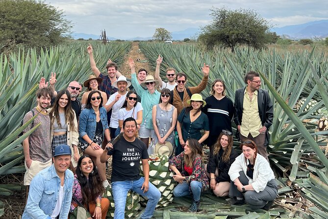 The Mezcal Journey - Agave work in your schedule: making the plant feel real
