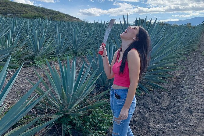 The Mezcal Journey - Doña Chica lunch: included Oaxacan fuel, with quality that can vary