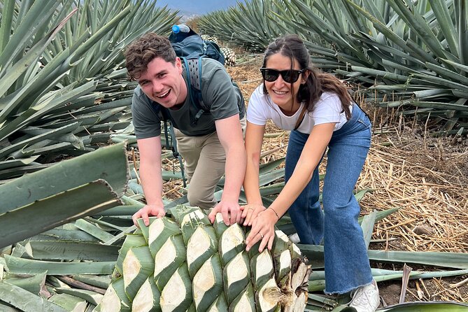 The Mezcal Journey - Timing, pace, and who should book this mezcal tour