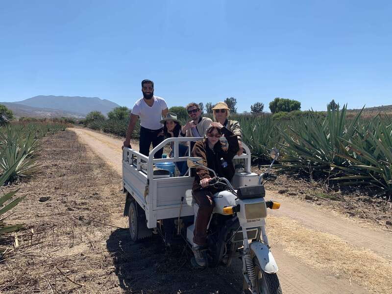 The Mezcal Journey - Price and logistics: does $105 feel fair for what you get?